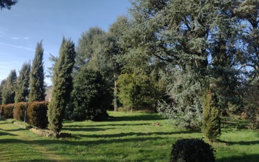 Rocca Priora –   4 locali   T402