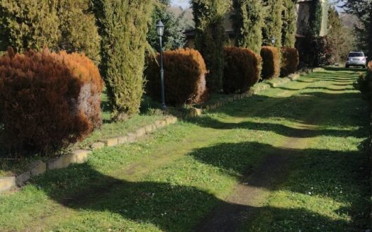 Rocca Priora –   4 locali   T402