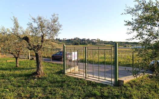 Terreno Agricolo in vendita