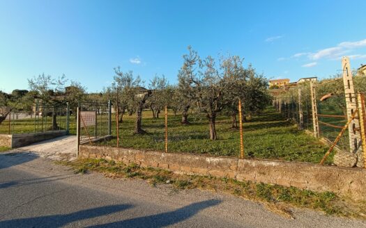 Terreno Agricolo in vendita